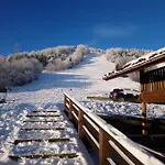 Kurshevel 乡村民宿